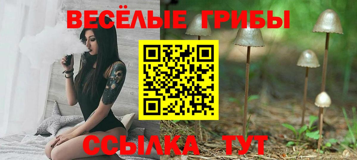 Мефедрон кристаллы  Бошки Шишки  Купить  Вход с VPN  КОКАИН  Метадон  Углич  ГАШИШ  NBOMe 
