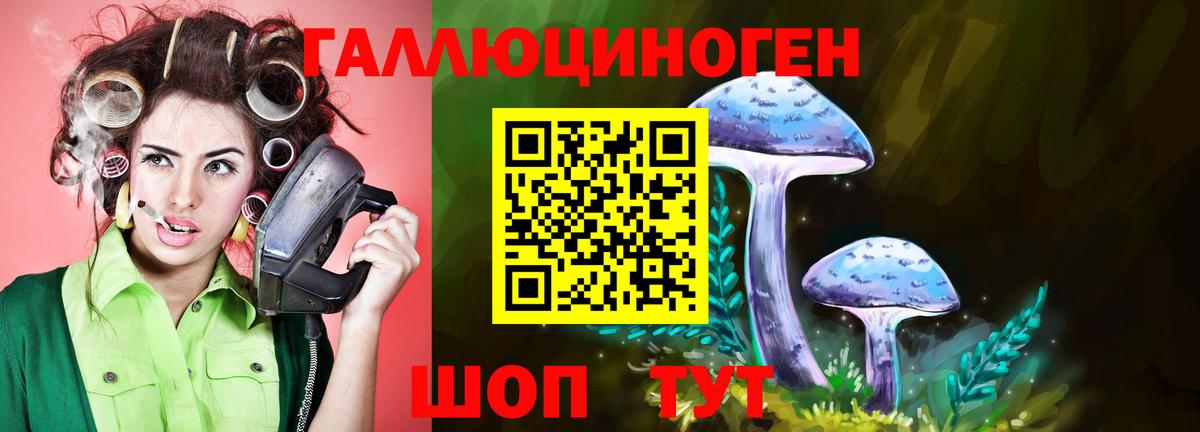 Галлюциногенные грибы Psilocybine cubensis Углич