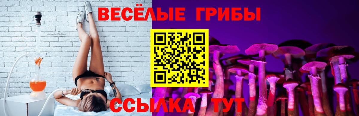 Галлюциногенные грибы Psilocybine cubensis  Вход с VPN  Галлюциногенные грибы Psilocybe  Углич 